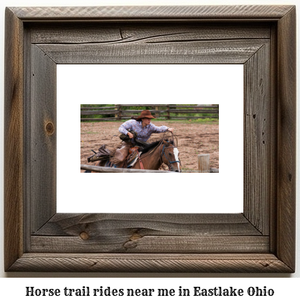 horse trail rides near me in Eastlake, Ohio